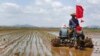 North Korea Food Shortage Worsens Since COVID 