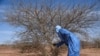Le Niger provoque la pluie pour éloigner le spectre de la sécheresse