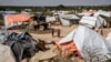 40% des Somaliens touchés par l'insécurité alimentaire extrême