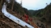 Report: Data From China Plane Crash Points to Intentional Nosedive