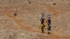 Scientists: Deadly Heat Could Become New Normal