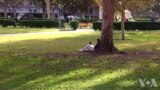 美国大学教授学生如何防范校园安全问题