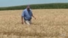 Farmeri najteže pogođeni trgovinskim ratom SAD i Kine