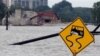 Urgencia en riberas del Mississippi