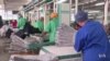 Robots Pose Big Threat to Jobs in Africa, Researchers Warn