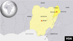 Dabanga, Cameroon