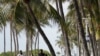 Aunque las playas estuvieron cerradas en el condado de Miami-Dade, en la Florida, durante el fin de semana del 4 de julio ante el repunte de casos de coronavirus, no los espacios abiertos para caminar.