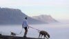 South Africans Walk Outside as Country Eases Virus Lockdown 