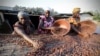 La Côte dIvoire lance un label pour son cacao