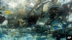 Des débris de plastique dans les océans (AP)