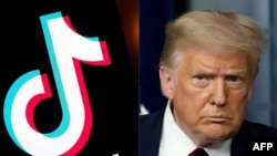 图为2020年7月30日特朗普总统与Tiktok的合成画面。