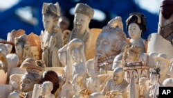 United States Emerges as Big Ivory Market, Seeks Global Ban