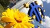 European Central Bank Commits to Record Low Rates