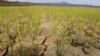 Reports: North Korea Warns of New 'Arduous March'