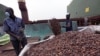 L'Organisation internationale pour le cacao transfère son siège à Abidjan