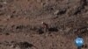 16x9 Image
