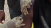 Ebola Vaccine Trials Underway in West Africa