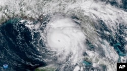 Satelistski snimak NOAA pokazuje urana Majkl iznad Meksičkog zaliva, 9. oktobra 2018.(NOAA via AP)