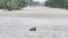 More Flooding Misery for Weather-Weary Australia