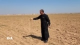 Tunebûna Baranê Çandinîya Kobanî Xistîye Rewşeke Dijwar