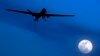 US Military: Airstrikes Kill 17 IS Fighters in Somalia