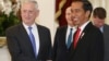 Mattis: Turkish Offensive ‘Distracts’ from Anti-IS Fight