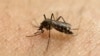 Le vaccin contre la dengue du français Sanofi autorisé dans l'UE