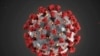 Are New Coronavirus Strains Cause for Concern?