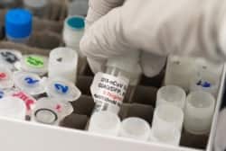 FILE - A researcher lifts a vial with a potential COVID-19 vaccine at Novavax labs in Gaithersburg, Maryland, March 20, 2020, one of the labs developing a vaccine for the coronavirus.