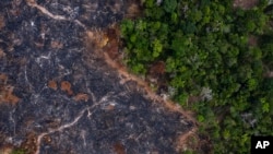 Area hutan hujan Amazon yang terbakar terlihat di Prainha, negara bagian Para, Brazil, 23 November 2019. (Foto: AP)